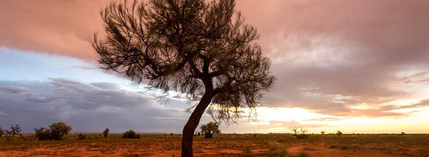 The Pilbara