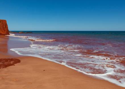 Red Pindan Cliff adjoining a turquoise sea at James Price Point, North of Broome in Western Australia